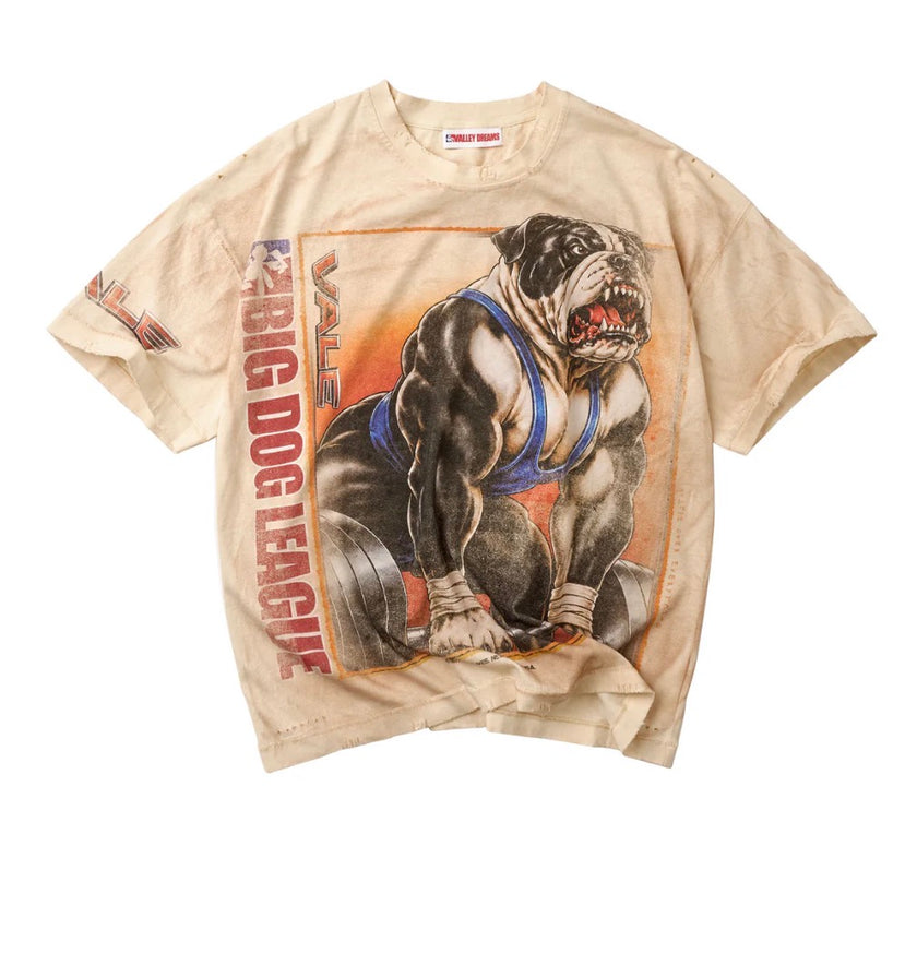 VALLEY DREAMS TEE